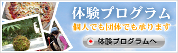 �̌��v���O����